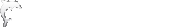 Dolphin Medical